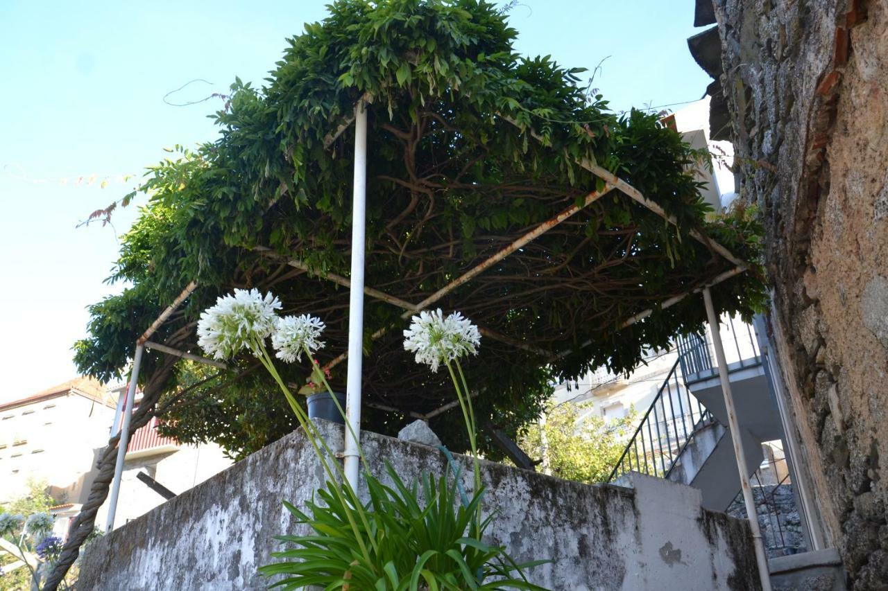Villa Casa Da Ponte Do Arrocho Loriga Esterno foto